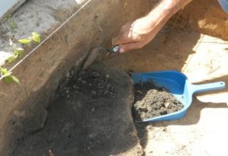 Escavação TRV (2) (LEIA)